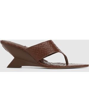 Naked Wolfe Stampede Snake - Brown