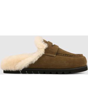 Naked Wolfe Corded Suede - Brown