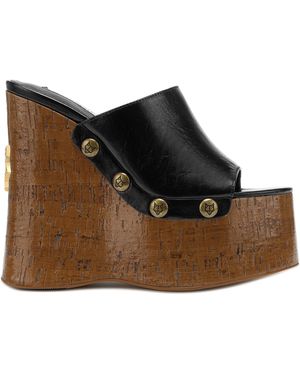 Naked Wolfe Tulip - Brown