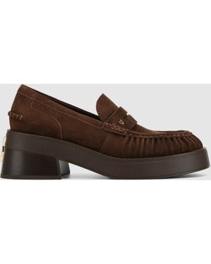Naked Wolfe Fuse Suede - Brown