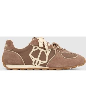 Naked Wolfe Lightning Mesh - Brown