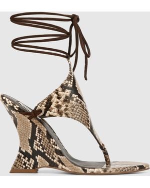 Naked Wolfe Rampage Snake - Brown