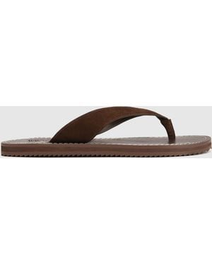 Naked Wolfe St Barths Suede - Brown
