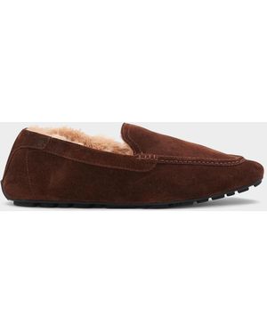 Aquatalia Qalista Suede Driving Loafers - Brown