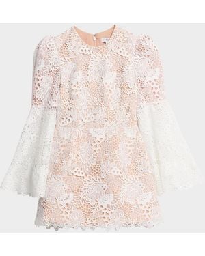 HELSI Nicole Flare-Sleeve Lace Mini Dress - Pink