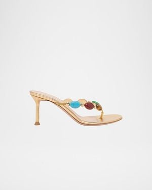 Gianvito Rossi Shanti Thong 70 Sandals - White