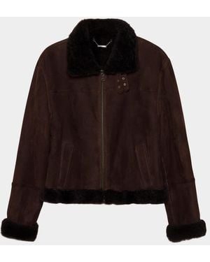 Jonathan Simkhai Cassia Suede Cropped Jacket With Shearling Trim - Black