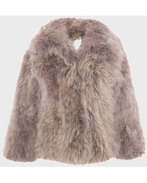 Gorski Select Cashmere Goat Jacket - Brown
