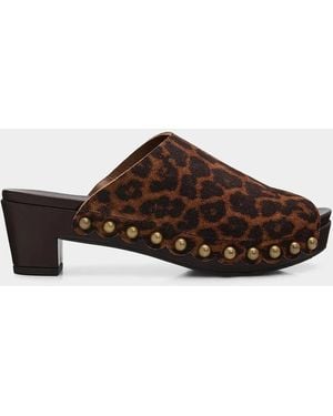 Pedro Garcia Nain 65Mm Studded Leopard-Printed Suede Clogs - Brown