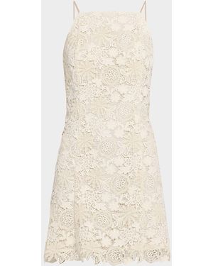 Marie Oliver Noah Lace Mini Dress - Natural