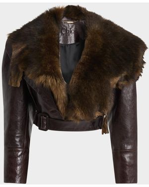 Chloé Shiny Leather Crop Moto Jacket With Removable Lamb Shearling Collar - Brown
