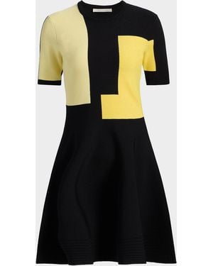 Jason Wu Fit-&-Flare Colorblock Knit Mini Dress - Black