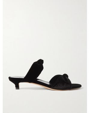 Le Monde Beryl Knot Velvet Mules - Black
