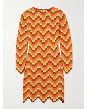 Escvdo Victoria Scalloped Crocheted Cotton Mini Dress - Orange