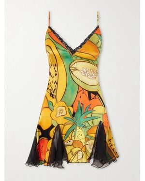 Donde Esteban Frutas Ruffled Lace-Trimmed Printed Silk-Blend Satin And Chiffon Mini Dress - Yellow