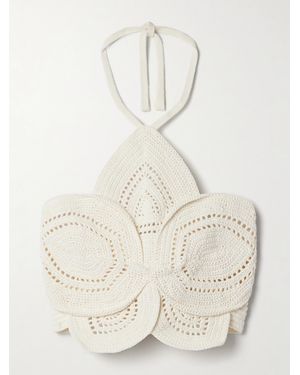Cult Gaia Emelia Cropped Crocheted Cotton Halterneck Top - Natural