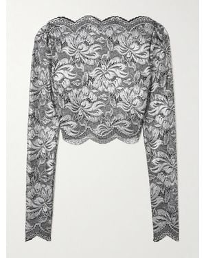 Rabanne Cropped Scalloped Stretch-Lace Top - Grey