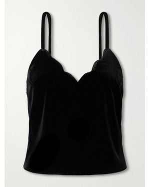 Loretta Caponi Pyrite Scalloped Velvet Cami - Black