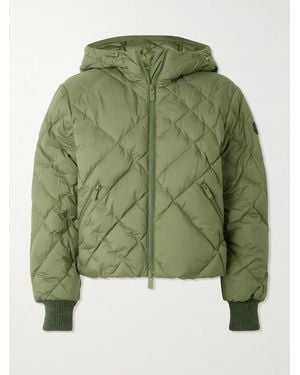 Burberry Hooded Appliquéd Leather-Trimmed Padded Quilted Shell Down Jacket - Green