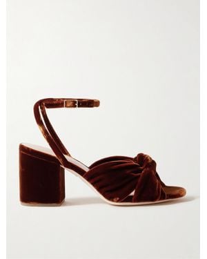 Loeffler Randall Fiamma Knotted Velvet Sandals - Brown