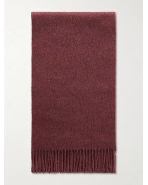 Johnstons of Elgin Fringed Cashmere Scarf - Violet
