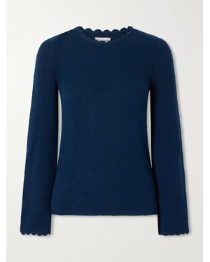 Escvdo Bernabe Scalloped Ribbed Cotton Jumper - Blue