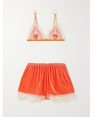 Sleeping with Jacques Net Sustain Julia Lace-Trimmed Silk-Blend Satin And Velvet Soft-Cup Bra And Shorts Set - Red