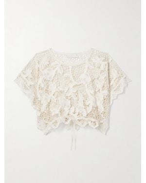 Zimmermann Golden Cropped Guipure Lace Top - White