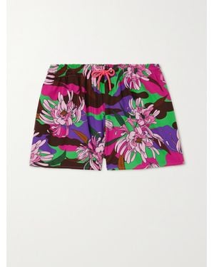 Moncler Floral-Print Cotton-Poplin Shorts - Purple
