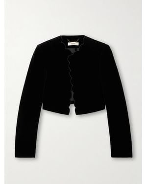 Chloé Cropped Scalloped Silk-Velour Jacket - Black