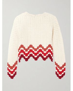 Escvdo Safi Cropped Scalloped Crocheted Cotton Top - Red