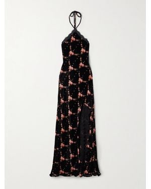 Cara Cara June Lace-Trimmed Floral-Print Velvet Halterneck Maxi Dress - Black