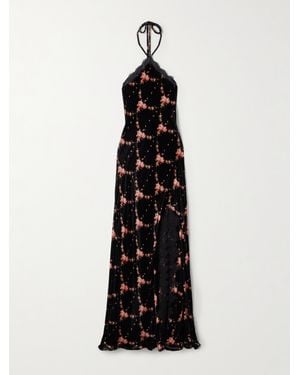 Cara Cara June Lace-Trimmed Floral-Print Velvet Halterneck Maxi Dress - Black