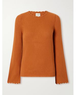 Escvdo Bernabe Scalloped Ribbed Cotton Jumper - Orange