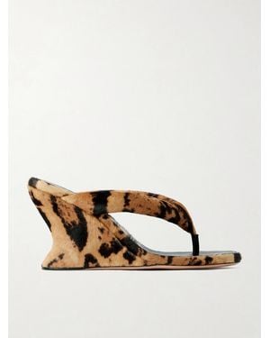 Balenciaga Gaeta Leopard-Print Pony Hair Wedge Mules - Brown