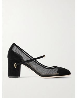 Jennifer Chamandi Paolo 65 Mesh And Suede Pumps - Black