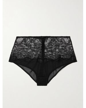 Kiki de Montparnasse La Follie Lace And Mesh Briefs - Black