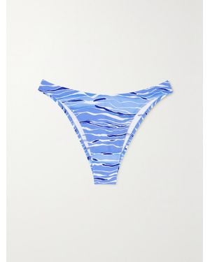 Fisch Net Sustain Flamands Printed Bikini Briefs - Blue