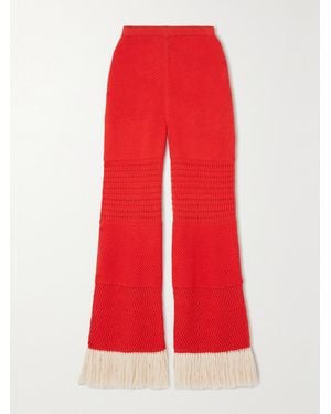 Escvdo Net Sustain Carisa Fringed Flared Cotton Trousers
