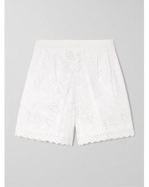 Saloni Paige Scalloped Broderie Anglaise Cotton Shorts - White
