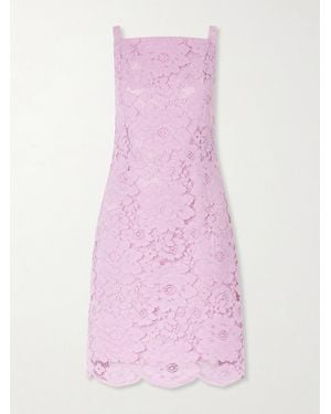 Patou Floral-Embroidered Cotton-Blend Guipure Lace Midi Dress - Pink