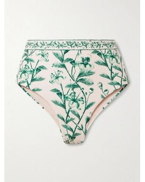 Agua Bendita Ceiba Floral-Print Recycled Bikini Briefs - Blue