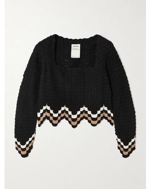 Escvdo Sumac Cropped Scalloped Crocheted Cotton Top - Black
