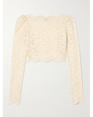 Rabanne Scalloped Cropped Lace Top - Natural