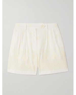 Alix Of Bohemia Deena Pleated Embroidered Cotton-Voile Shorts - Natural