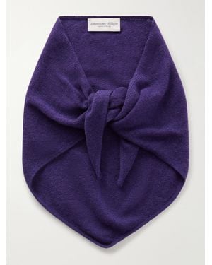 Johnstons of Elgin Reel Cashmere Scarf - Purple