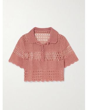 Zimmermann Wanderlust Sun Oberteil Aus Einer Gehäkelten Baumwollmischung - Pink
