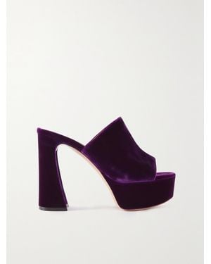 Gianvito Rossi Holly 70 Mules Aus Samt Mit Plateau - Lila