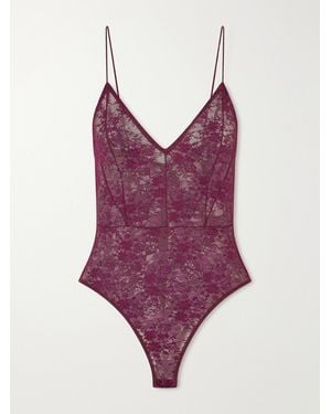 Alex Perry Lace Bodysuit - Purple