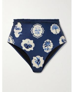 Agua Bendita Nopal Wild Embellished Printed Recycled Bikini Briefs - Blue